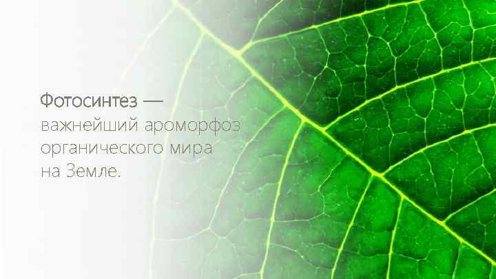 Фотосинтез — важнейший ароморфоз органического мира на Земле. 