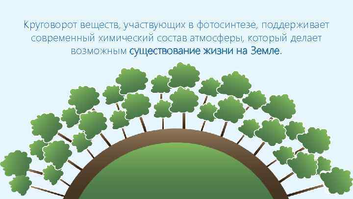 Круговорот веществ, участвующих в фотосинтезе, поддерживает современный химический состав атмосферы, который делает возможным существование