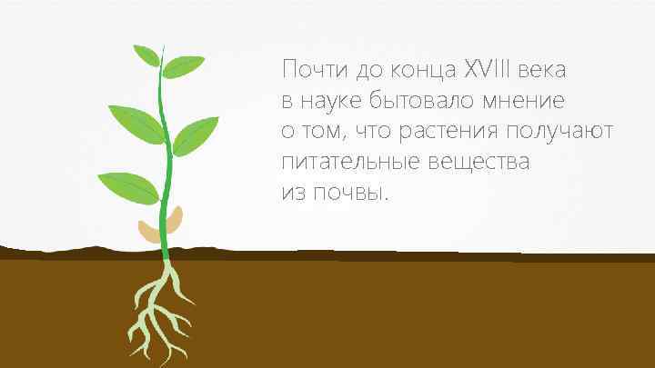Почти до конца XVIII века в науке бытовало мнение о том, что растения получают