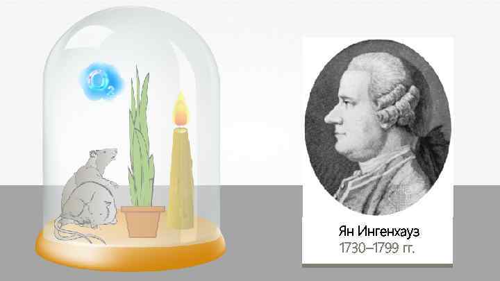 Ян Ингенхауз 1730– 1799 гг. 