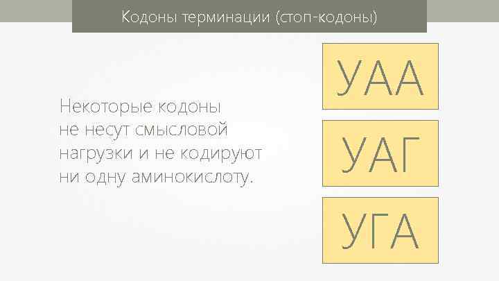 Стартовый кодон ирнк. Стоп кодоны. Стоп кодоны ДНК. Кодоны Терминаторы ДНК. Старт кодон и стоп кодон.