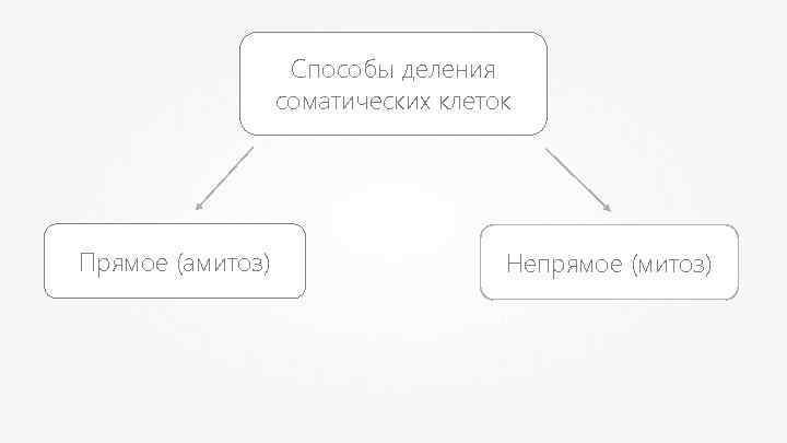 Способы деления соматических клеток Прямое (амитоз) Непрямое (митоз) 