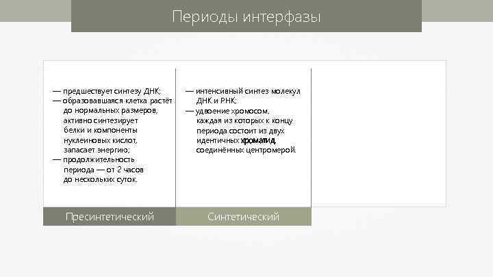 Периоды интерфазы — предшествует синтезу ДНК; — образовавшаяся клетка растёт до нормальных размеров, активно