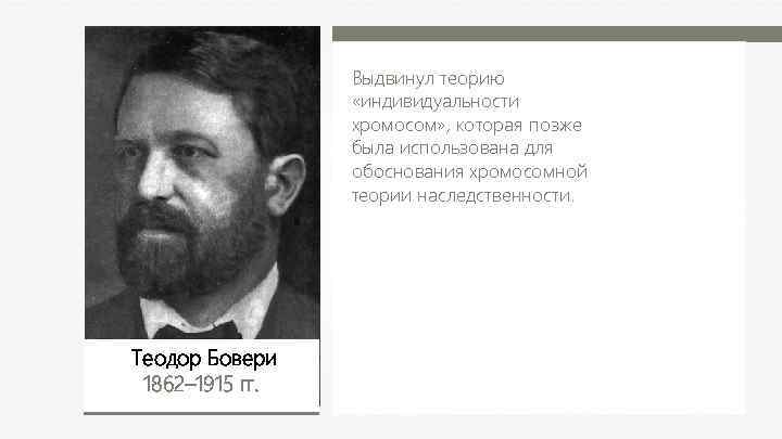 Выдвинул теорию «индивидуальности хромосом» , которая позже была использована для обоснования хромосомной теории наследственности.