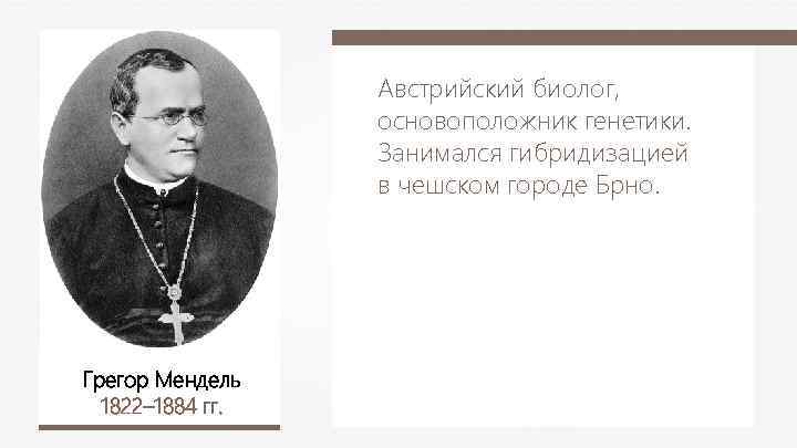 Австрийский биолог, основоположник генетики. Занимался гибридизацией в чешском городе Брно. Грегор Мендель 1822– 1884