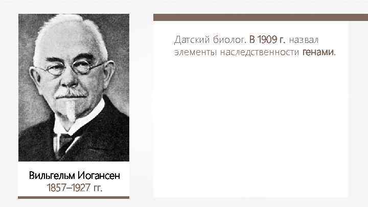 Датский биолог. В 1909 г. назвал элементы наследственности генами. Вильгельм Иогансен 1857– 1927 гг.