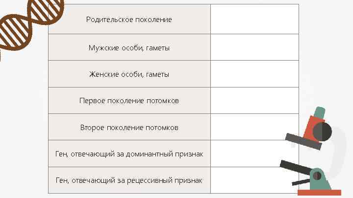 Родительское поколение Р Мужские особи, гаметы ♂ Женские особи, гаметы ♀ Первое поколение потомков