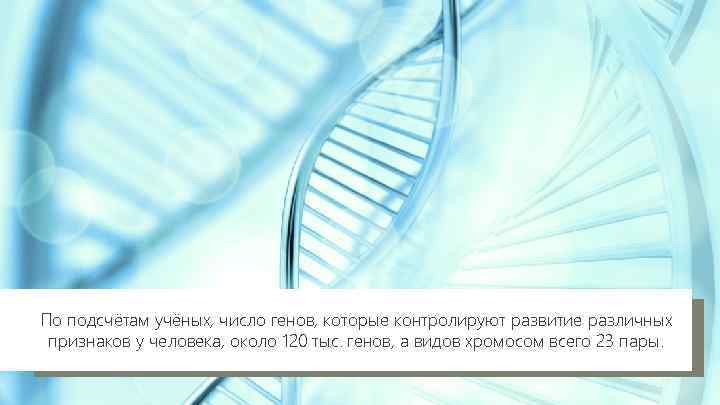 По подсчётам учёных, число генов, которые контролируют развитие различных признаков у человека, около 120