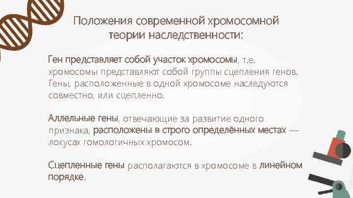 Положения современной хромосомной теории наследственности: Ген представляет собой участок хромосомы, т. е. хромосомы представляют