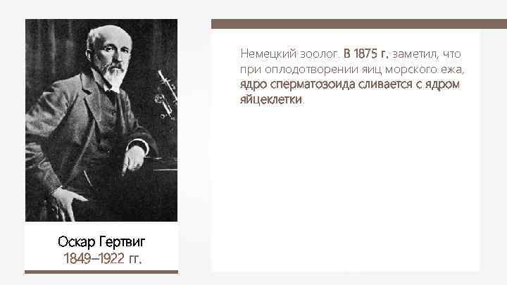 Немецкий зоолог. В 1875 г. заметил, что при оплодотворении яиц морского ежа, ядро сперматозоида