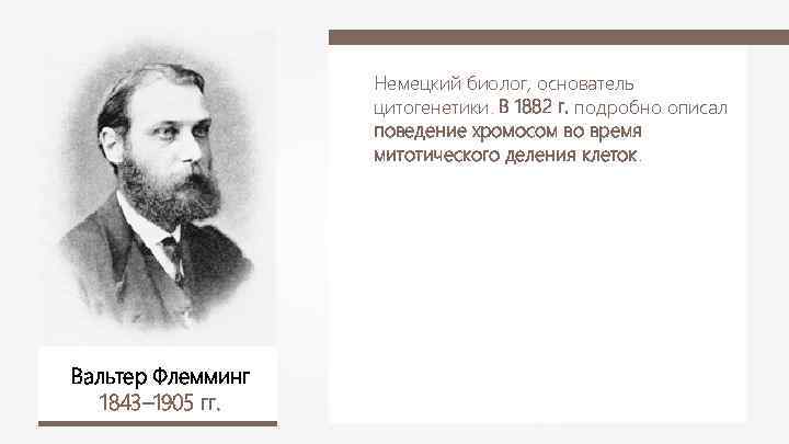Немецкий биолог, основатель цитогенетики. В 1882 г. подробно описал поведение хромосом во время митотического