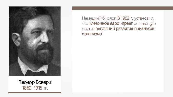 Немецкий биолог. В 1902 г. установил, что клеточное ядро играет решающую роль в регуляции
