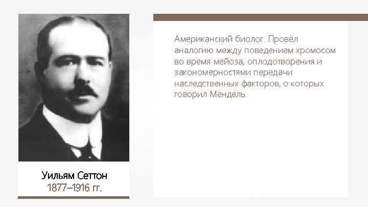 Американский биолог. Провёл аналогию между поведением хромосом во время мейоза, оплодотворения и закономерностями передачи