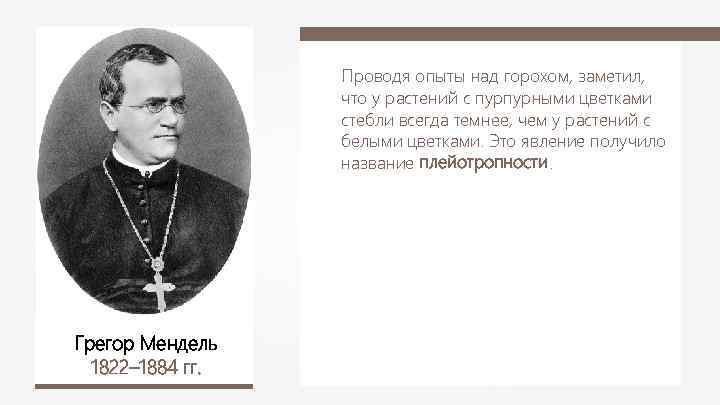 Проводя опыты над горохом, заметил, что у растений с пурпурными цветками стебли всегда темнее,