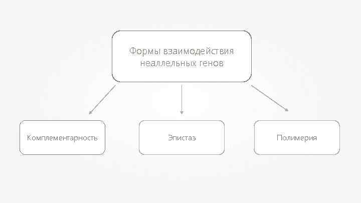 Человеческие расы схема