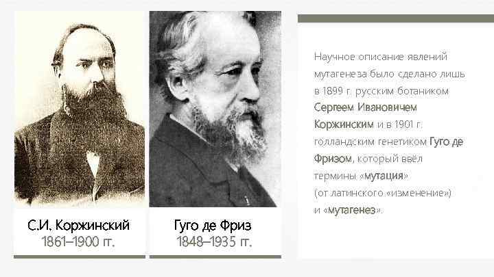  Научное описание явлений мутагенеза было сделано лишь в 1899 г. русским ботаником Сергеем