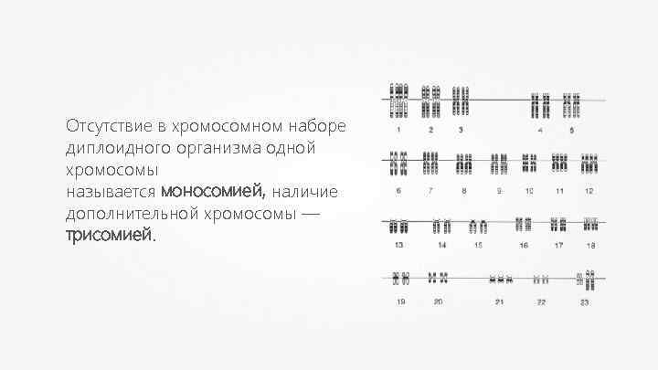 Отсутствие в хромосомном наборе диплоидного организма одной хромосомы называется моносомией, наличие дополнительной хромосомы —