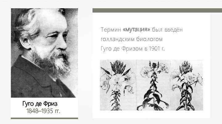  Термин «мутация» был введён голландским биологом Гуго де Фризом в 1901 г. Гуго