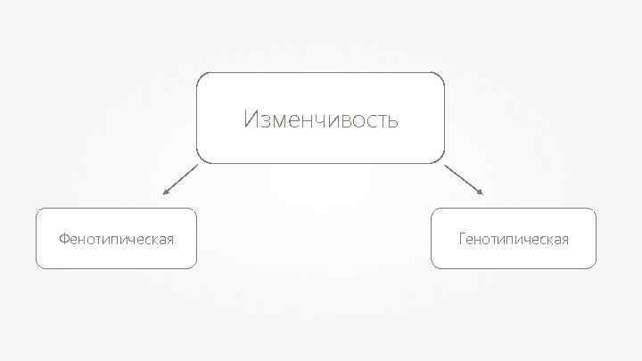 Изменчивость Фенотипическая Генотипическая 