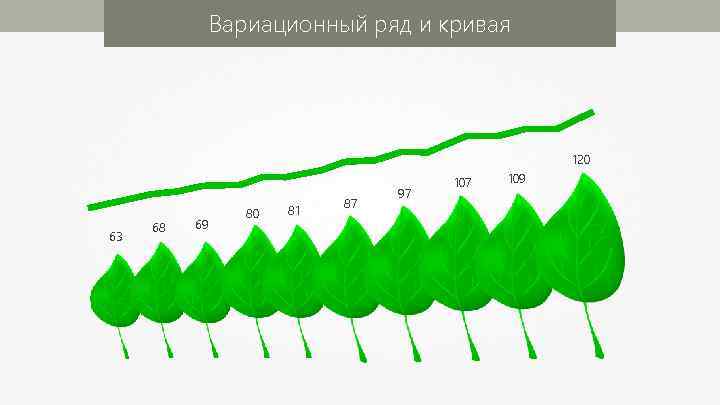 Кривые ряды