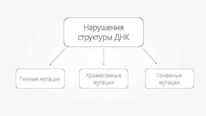 Нарушения структуры ДНК Генные мутации Хромосомные мутации Геномные мутации 