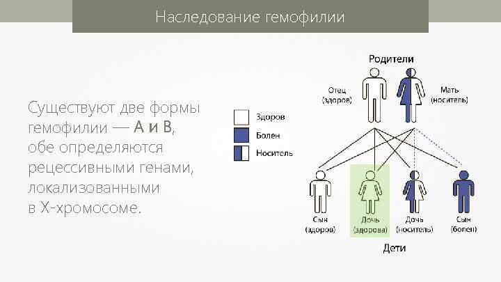 Схема наследования гемофилии