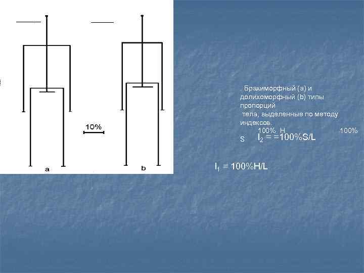 I 1 = и L I 2 = , L . Брахиморфный (а) и