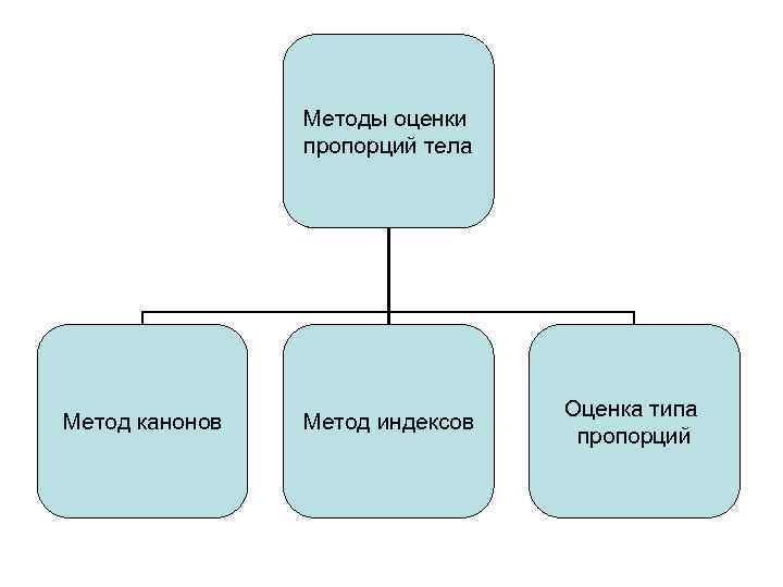 Методы оценки пропорций тела Метод канонов Метод индексов Оценка типа пропорций 