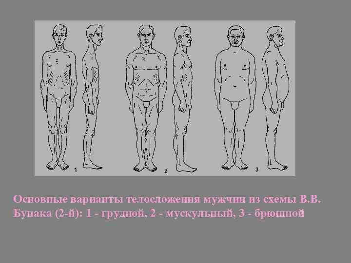 Схемы конституциональной диагностики галанта