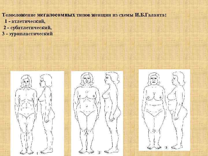 Схемы конституциональной диагностики галанта