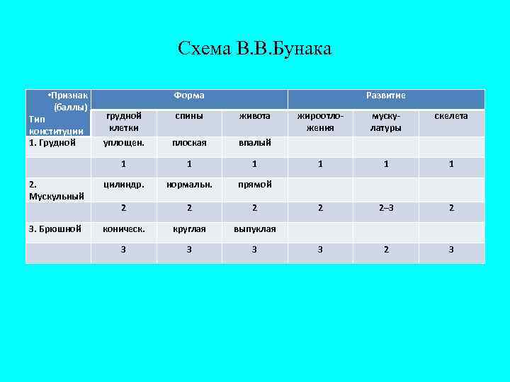 Схема В. В. Бунака • Признак (баллы) Форма Развитие грудной клетки спины живота уплощен.