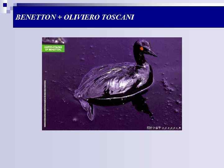 BENETTON + OLIVIERO TOSCANI 