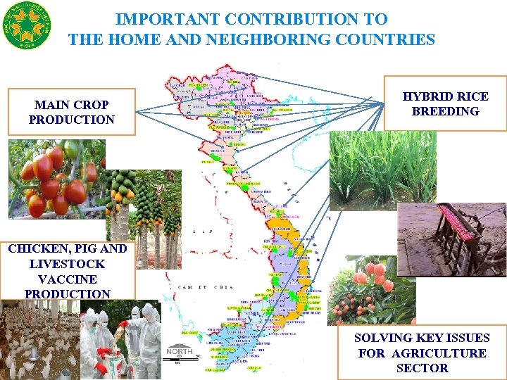 IMPORTANT CONTRIBUTION TO THE HOME AND NEIGHBORING COUNTRIES MAIN CROP PRODUCTION HYBRID RICE BREEDING