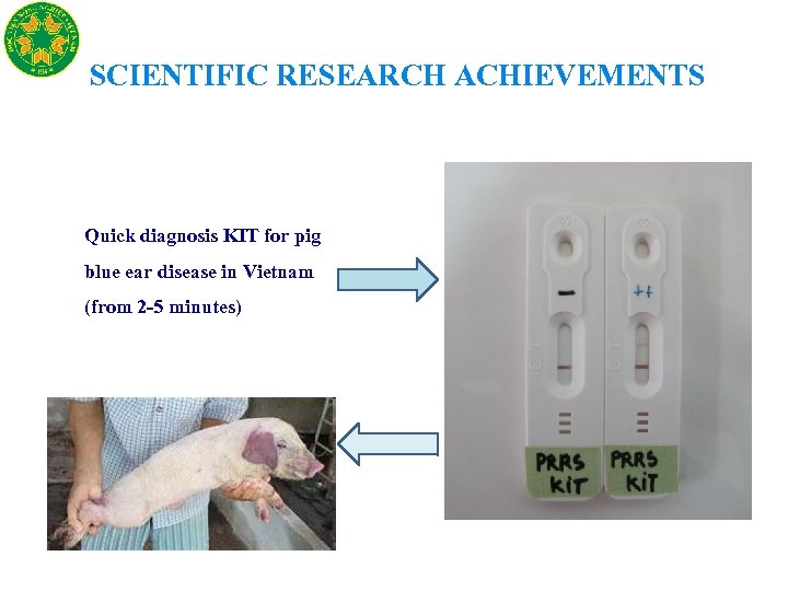  SCIENTIFIC RESEARCH ACHIEVEMENTS Quick diagnosis KIT for pig blue ear disease in Vietnam