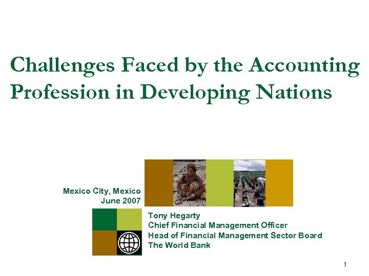 Challenges Faced by the Accounting Profession in Developing Nations Mexico City, Mexico June 2007