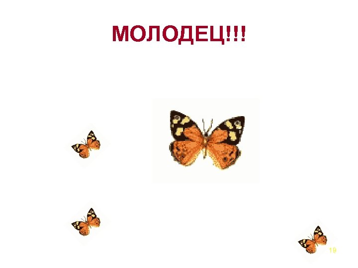 МОЛОДЕЦ!!! 19 