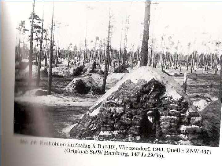 Витцендорф, stalag XD (310) Окраина местечка Витцендорф. Западная часть севера Германии, в войну X