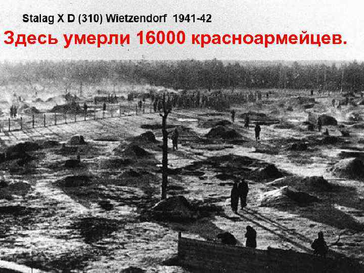 Могила для массовых захоронений Здесь умерли 16000 красноармейцев. советских военнопленных 