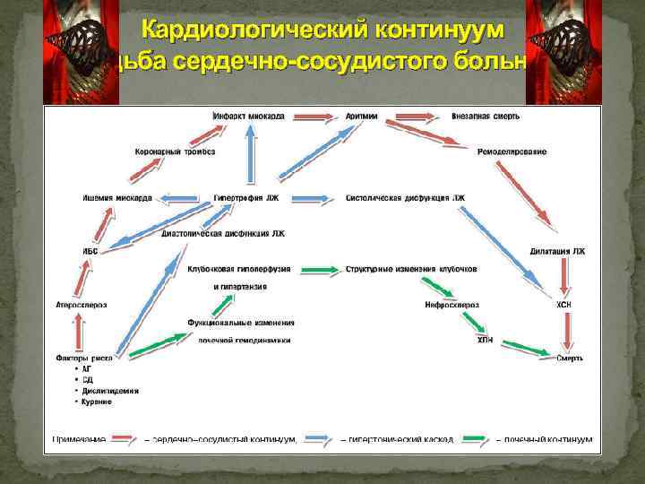 Кардиологический континуум Судьба сердечно-сосудистого больного 