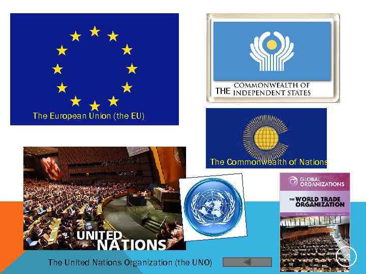 THE The European Union (the EU) The Commonwealth of Nations The United Nations Organization