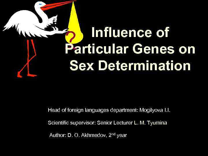  Influence of ? Particular Genes on Sex Determination Влияние отдельных генов на детерминацию