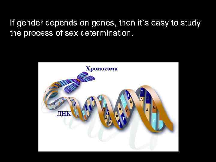 If gender depends on genes, then it`s easy to study the process of sex