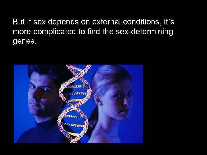 But if sex depends on external conditions, it`s more complicated to find the sex-determining