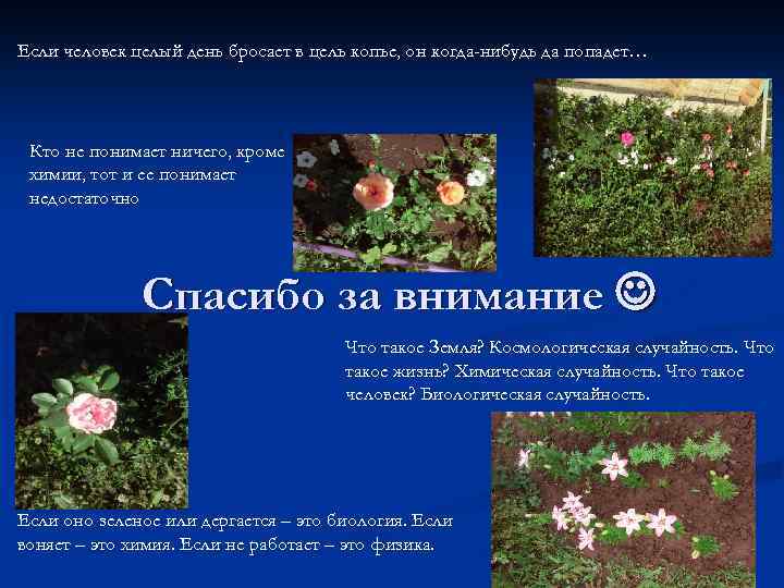 Если человек целый день бросает в цель копье, он когда-нибудь да попадет… Кто не