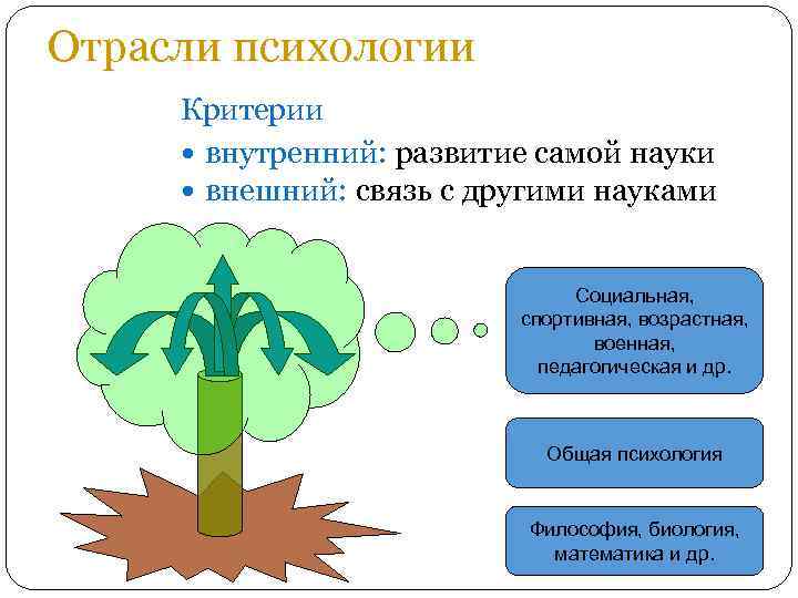 Внутренний критерий. Отрасли психологии по внутреннему критерию. Отрасли психологии выделяемые по внутреннему критерию. Отрасли психологии и критерии их выделения. Критерии отрасли психологии.