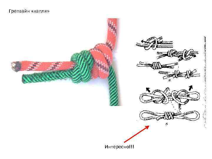 Грепвайн «капля» Интересно!!! 