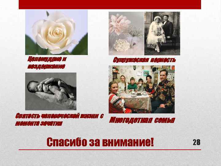 Целомудрие и воздержание Святость человеческой жизни с момента зачатия Супружеская верность Многодетная семья Спасибо