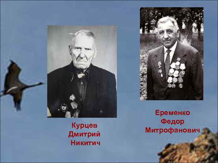 Курцев Дмитрий Никитич Еременко Федор Митрофанович 