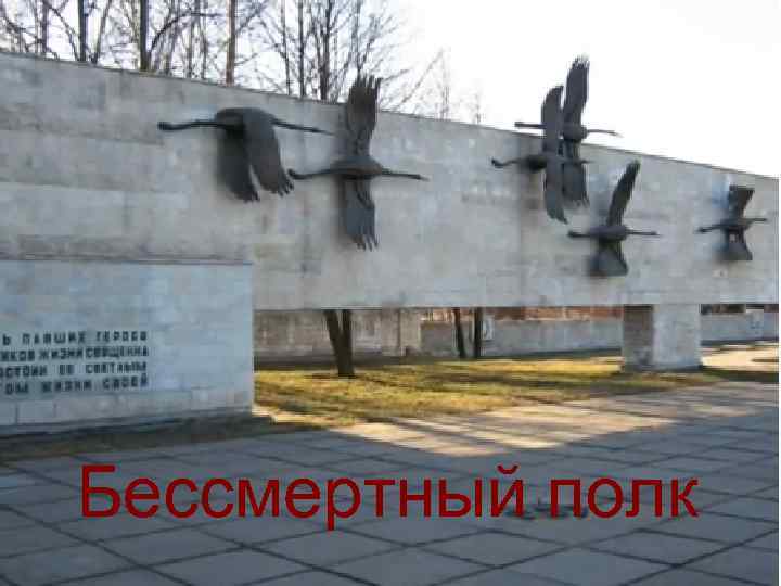 Бессмертный полк 