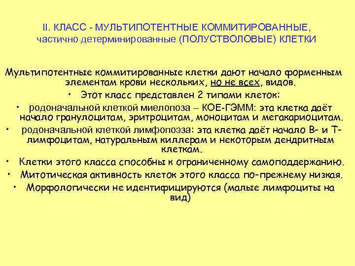 II. КЛАСС - МУЛЬТИПОТЕНТНЫЕ КОММИТИРОВАННЫЕ, частично детерминированные (ПОЛУСТВОЛОВЫЕ) КЛЕТКИ Мультипотентные коммитированные клетки дают начало